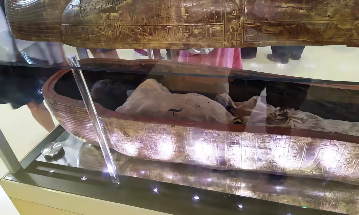 a cloth-wrapped mummy displayed inside a sarcophagus in a museum case